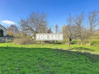 Renovation Project Close to the Coast