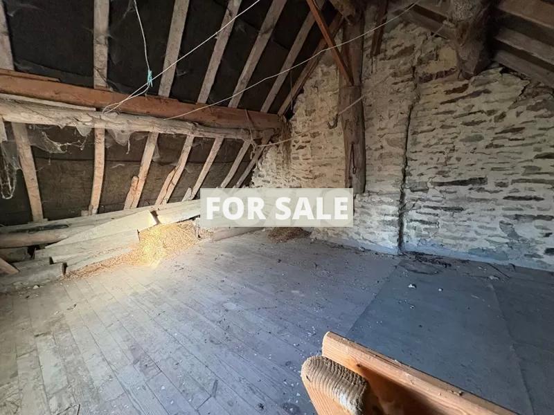 Detached House to Renovate with Garden