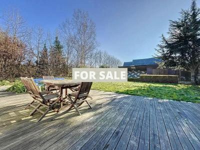 Contemporary House with Landscaped Garden