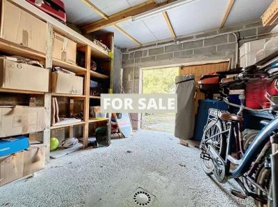 Contemporary House with Landscaped Garden