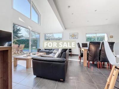 Contemporary House with Landscaped Garden