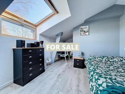 Contemporary House with Landscaped Garden