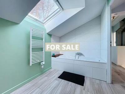 Contemporary House with Landscaped Garden