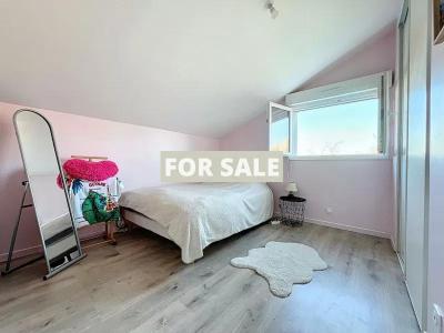 Contemporary House with Landscaped Garden