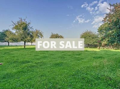 Property For Sale