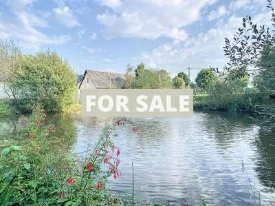 Property For Sale