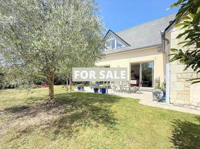 Property For Sale