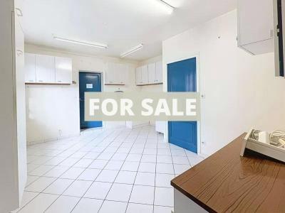 Manor House Style Property with Outbuildings