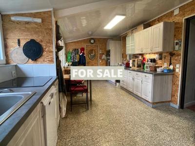 Lovely House with Sea View and Nice Garden