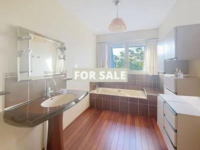 Contemporary Detached Country House with Garden