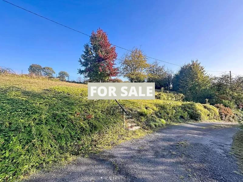 Contemporary Detached Country House with Garden