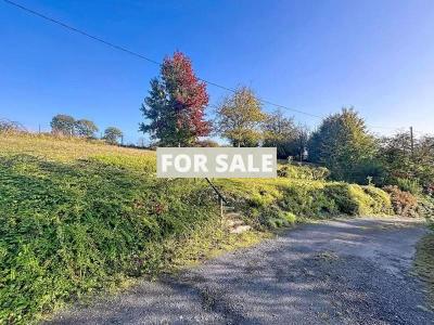 Contemporary Detached Country House with Garden