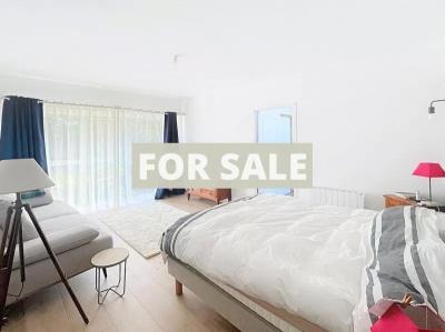 Property For Sale
