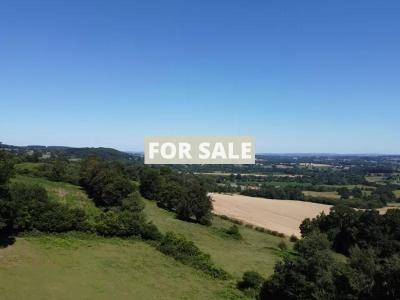 Detached Country House with Open Views