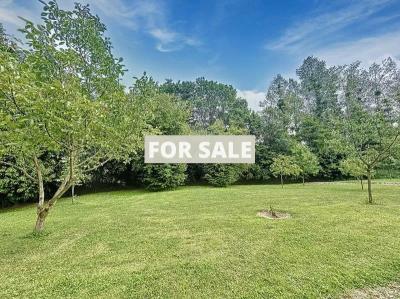 Detached Country House with Landscaped Garden