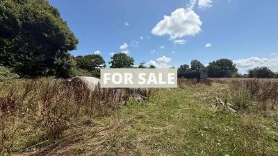 Detached House with Garden by the Coast