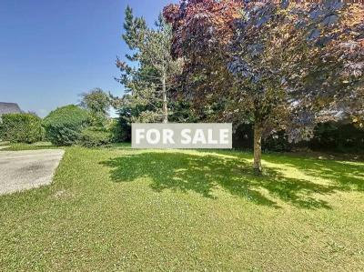 Lovely Detached House and Garden