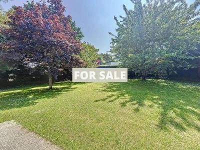 Lovely Detached House and Garden