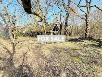 Detached Country House with Land