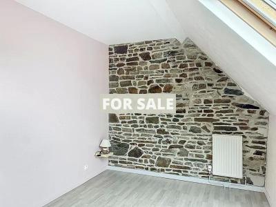Detached Country House with Guest Gite Cottage