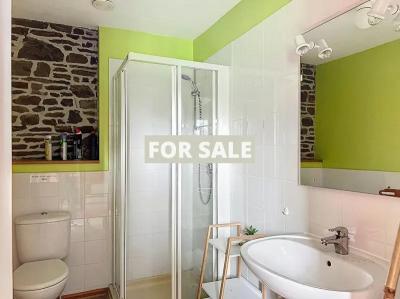 Detached Country House with Guest Gite Cottage