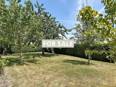 Detached Country House with Guest Gite Cottage