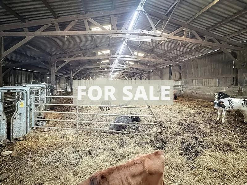 Detached Country House with Open Views