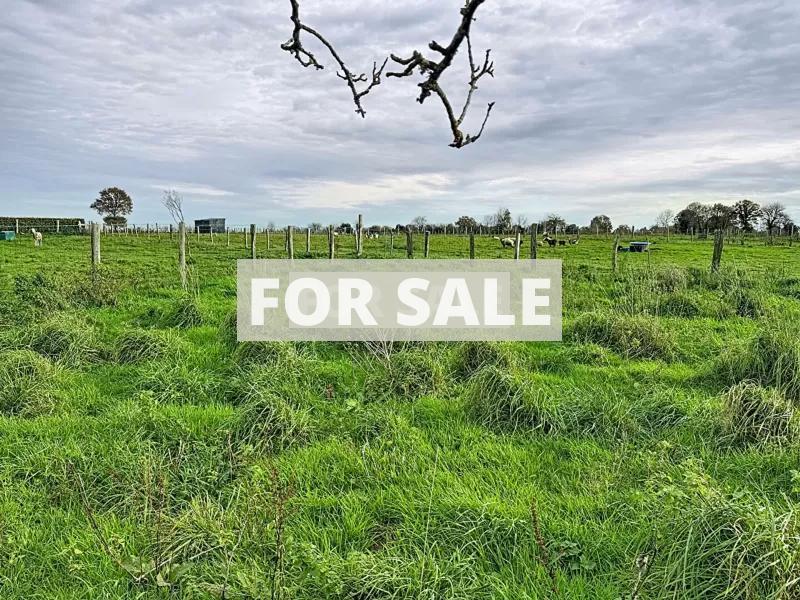 Detached Country House with Open Views