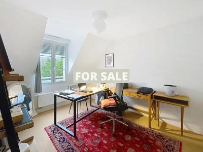 Beautiful House Inside and Out with Garden