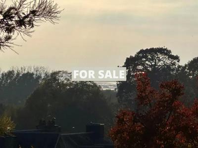 Lovely House with Sea View and Garden