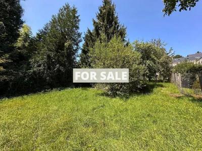 Lovely House with Sea View and Garden