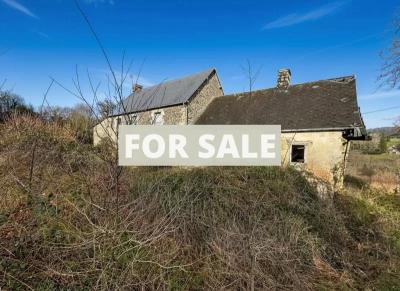 Detached Country House with Outbuildings and Land