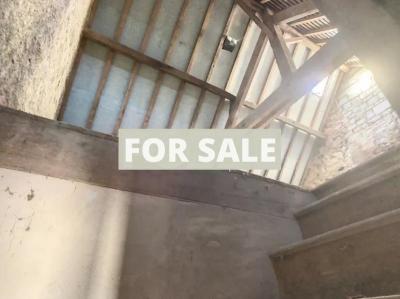 Detached Country House with Outbuildings and Land