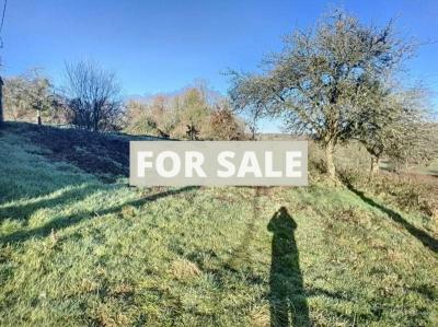 Detached Country House with Outbuildings and Land