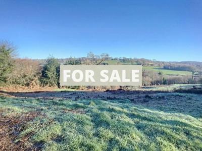 Detached Country House with Outbuildings and Land