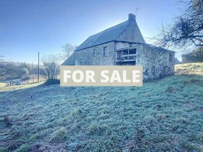 Detached Country House with Outbuildings and Land