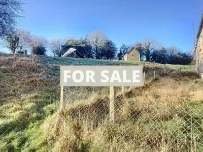 Detached Country House with Outbuildings and Land