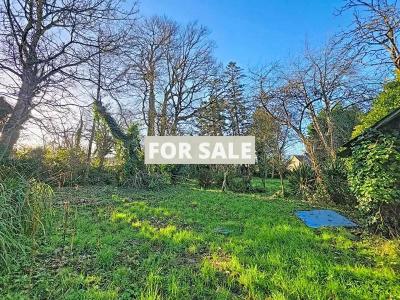 Detached Country House with Open Views