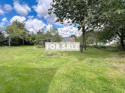 Beautiful House with Lovely Garden