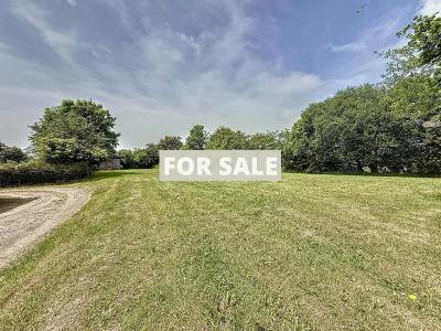 Property For Sale