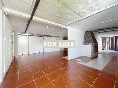 Detached House with Garden