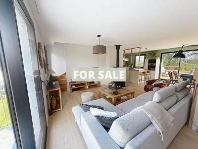 Detached House Nestled in Absolute Tranquility