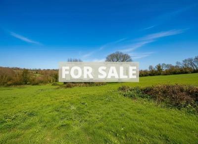 Detached Country House by the Coast