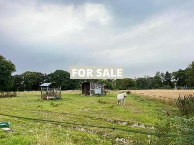 Detached Country House with Open Views
