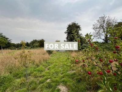 Detached Country House with Open Views