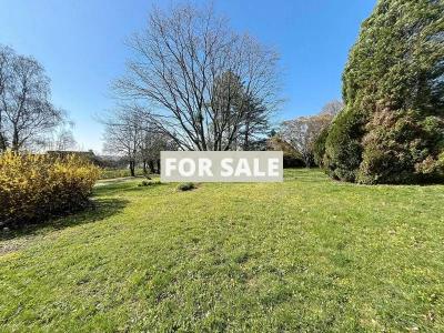 Detached House with Large Garden