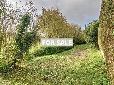 Detached Country House with Open Views