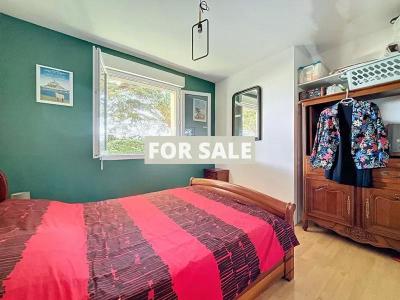 Detached House with Garden