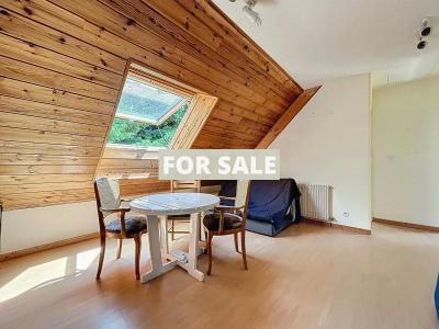 Detached House with Garden