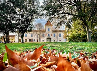 18th Century Chateau With 3 Independent Residences